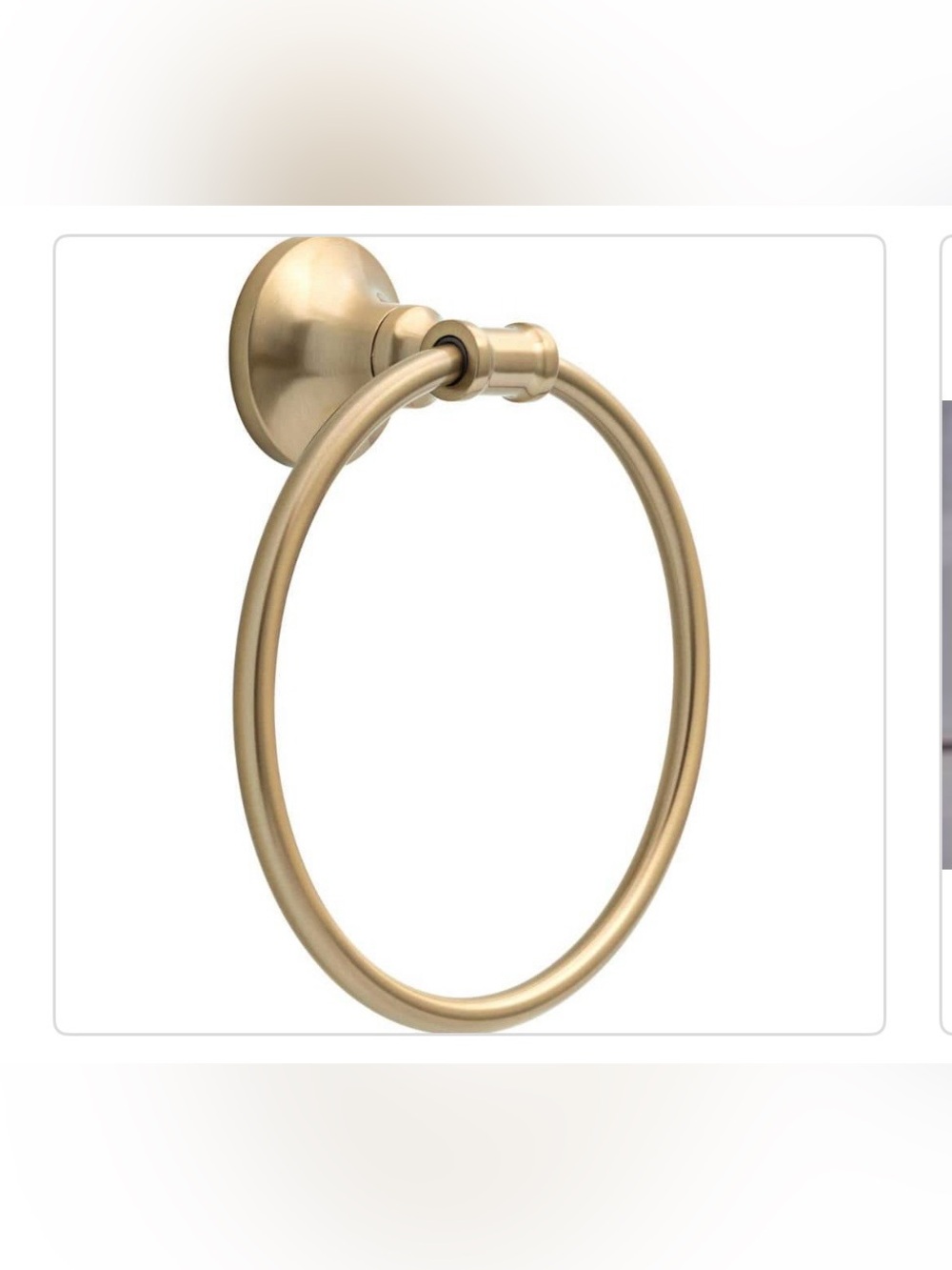 New Delta Chamberlain champagne bronze Towel Ring
